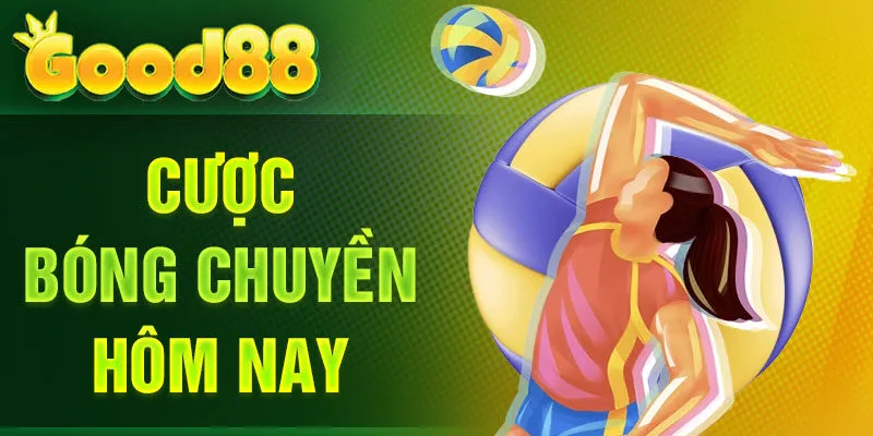 Cược bóng chuyền hôm nay
